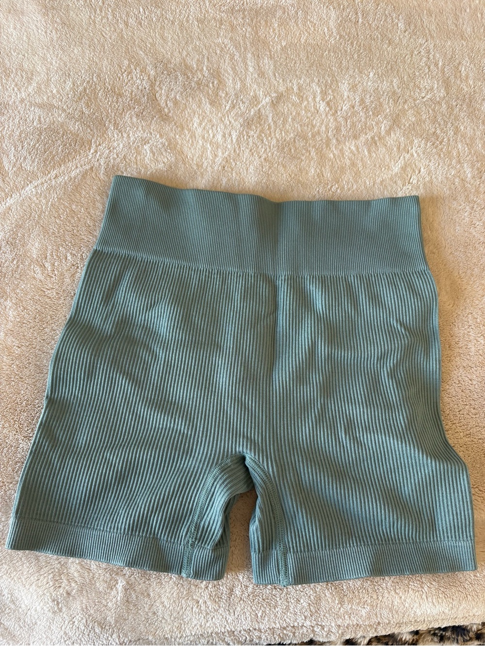 Seamless Ribbed High-Waist Bike Shorts - Sage Green